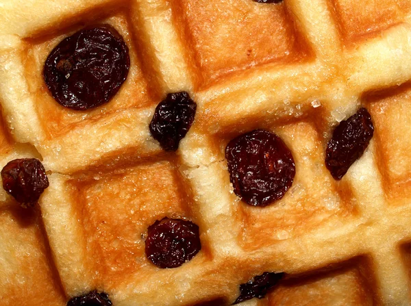 Photo of waffle with raisins — Stock Photo, Image