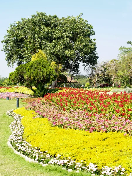 Hermosa flor — Foto de Stock