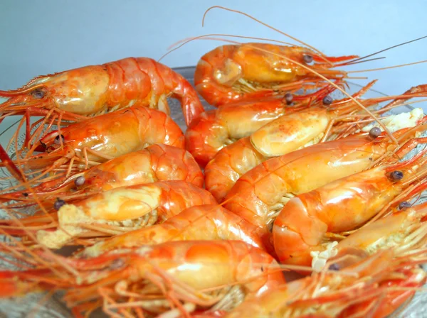 Camarones — Foto de Stock