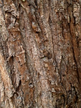 pelota de golf en tee con tres de madera