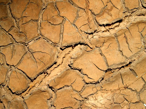 Textura de tierra seca — Foto de Stock