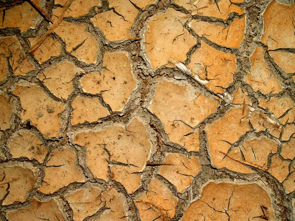 Textura de tierra seca — Foto de Stock