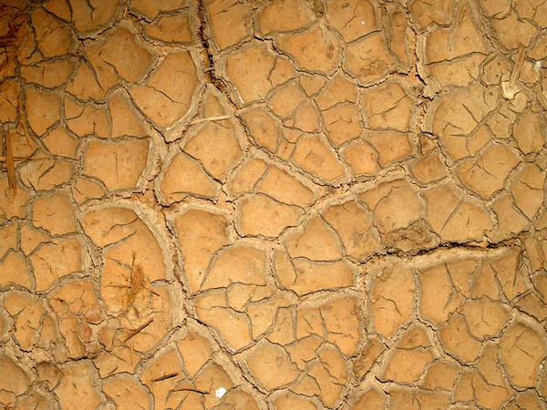 Textura de tierra seca — Foto de Stock