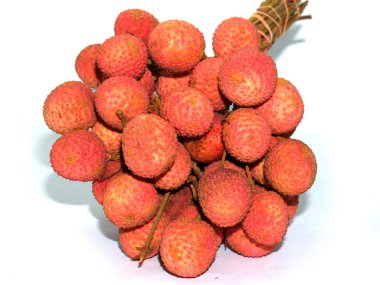 meyve toplama görüntüleri