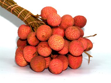 meyve toplama görüntüleri