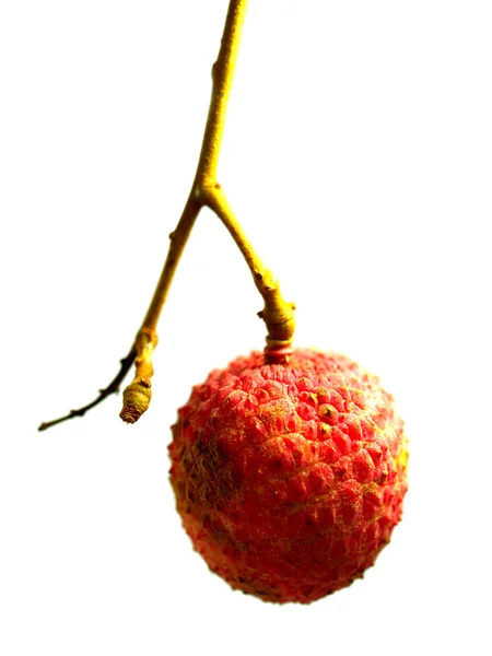 Imagens da coleção de frutas — Fotografia de Stock