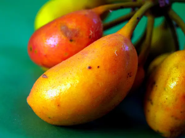 Recogida de frutas —  Fotos de Stock