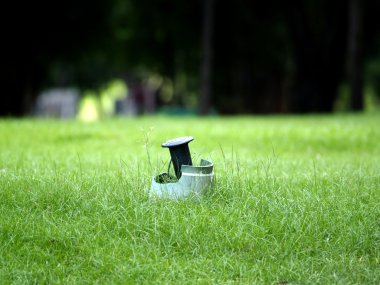 Yaprağın üzerine su damlası