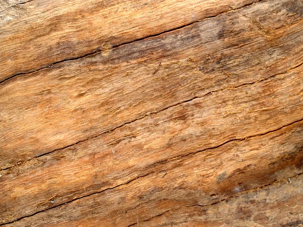Tekstura drzewo tło ściana drzewo tekstury — Zdjęcie stockowe