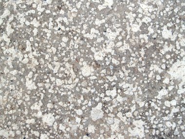 Beton arka plan dokusu