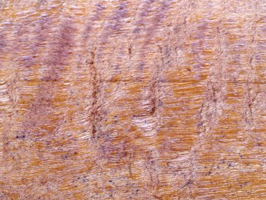 arka plan ağaç doku duvar