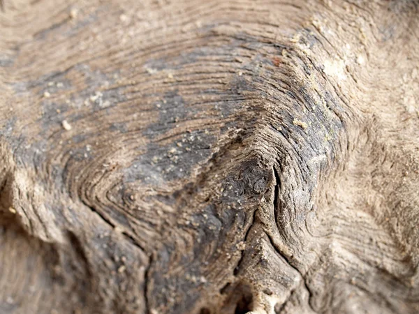 Фон текстура настінного дерева — стокове фото