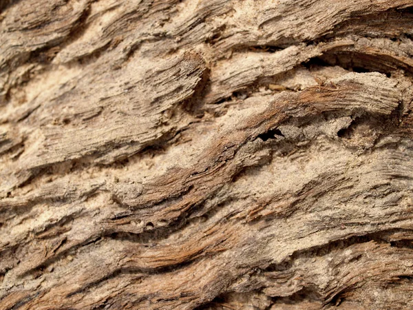 arka plan ağaç doku duvar