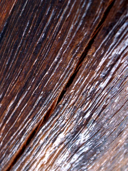 arka plan ağaç doku duvar