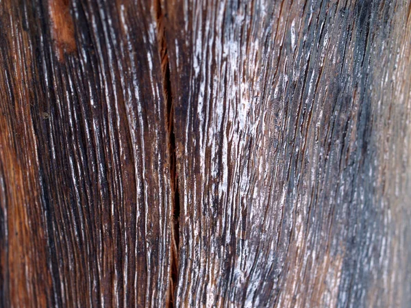 arka plan ağaç doku duvar