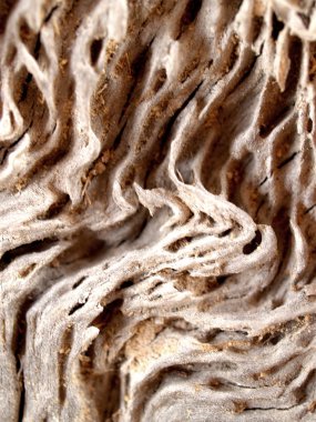 Ahşap Arkaplan Dokusu