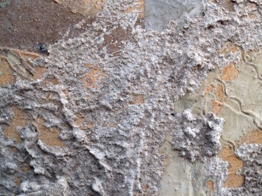 Beton arka plan dokusu