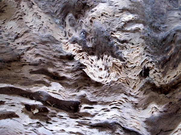 木の背景テクスチャ — ストック写真