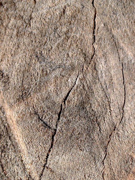 Textura de fundo de madeira — Fotografia de Stock