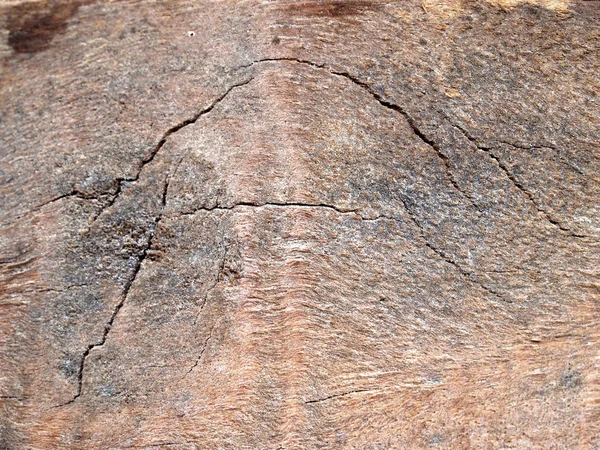 Textura de fundo de madeira — Fotografia de Stock