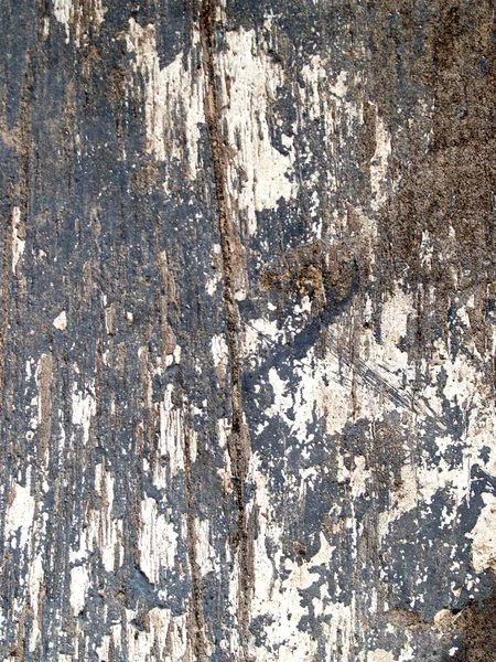 Wood background texture — Stock Photo, Image