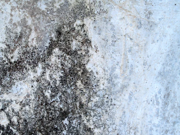 Texture of concrete background — Stock Photo, Image