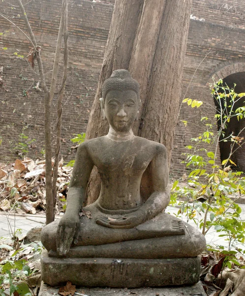 Wat em Chiang Mai, Tailândia — Fotografia de Stock