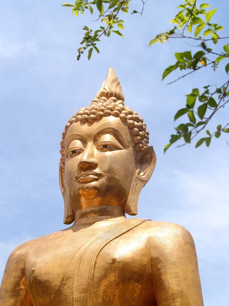 Buddha Utthayan és Phra Mongkhon Ming Mueang, Amphoe Mueang Amnat Dávid, Thaiföld — Stock Fotó