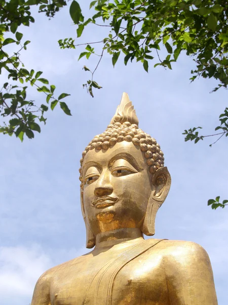 Buddha utthayan och phra mongkhon ming mueang, amphoe mueang amnat charoen, thailand — Stockfoto