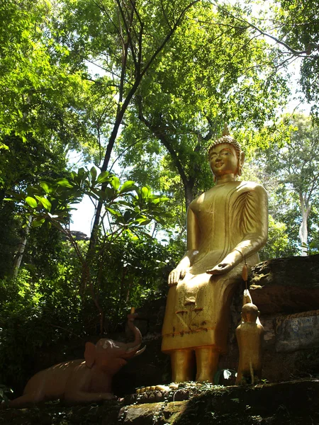 Wat tam cantou templo phet, Amphoe Mueang Amnat Charoen, Tailândia — Fotografia de Stock