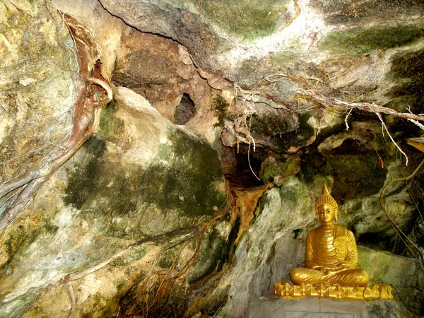 Wat tam sang phet temple , Amphoe Mueang Amnat Charoen , thailand — Stock Photo, Image