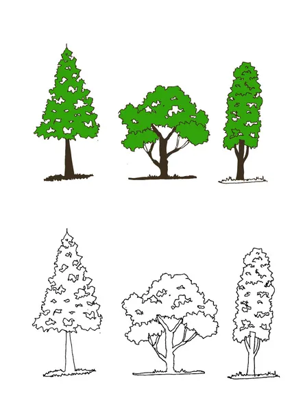 Vector bomen met bladeren — Stockvector