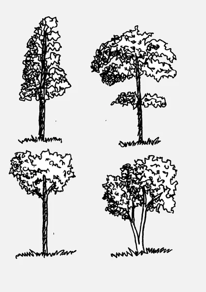 Árboles vectoriales con hojas — Archivo Imágenes Vectoriales