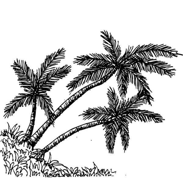 Palmera Palmeras tropicales, fondo de siluetas negras — Vector de stock