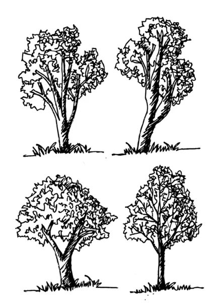 Ilustrasi Vektor pohon koleksi - Stok Vektor