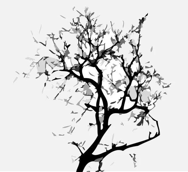 Silhouette d'arbre — Image vectorielle