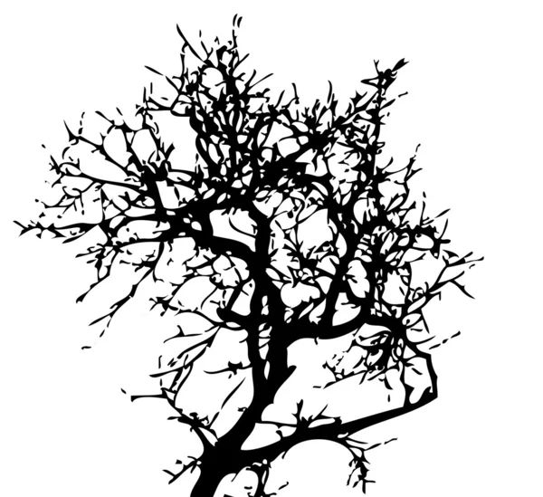 Silueta de árbol — Vector de stock