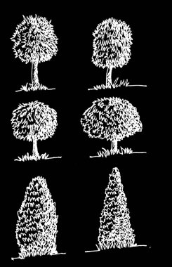 vektör ağaçların yaprakları ile