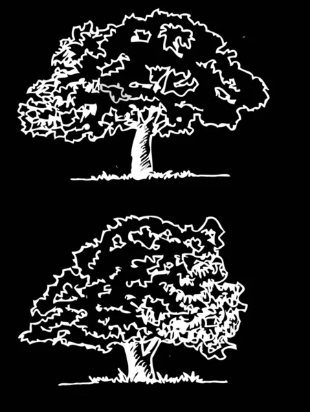 Árboles vectoriales con hojas — Archivo Imágenes Vectoriales