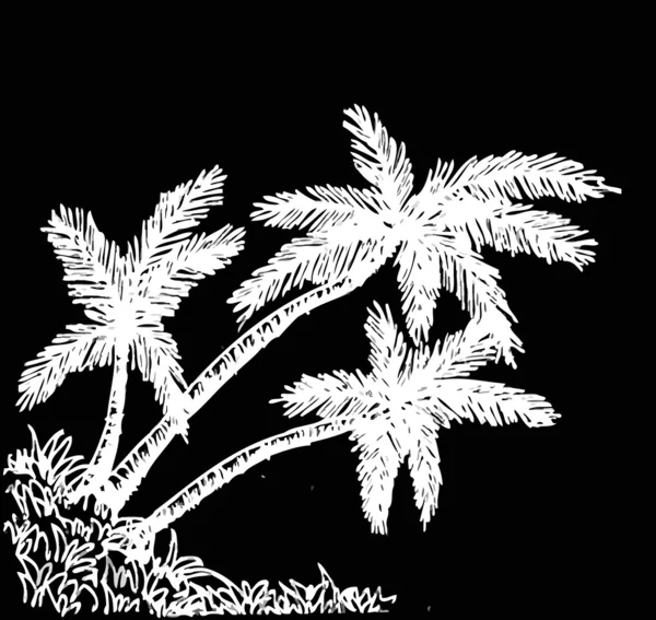 Palm tree tropisk palm träd, svarta siluetter bakgrund — Stock vektor