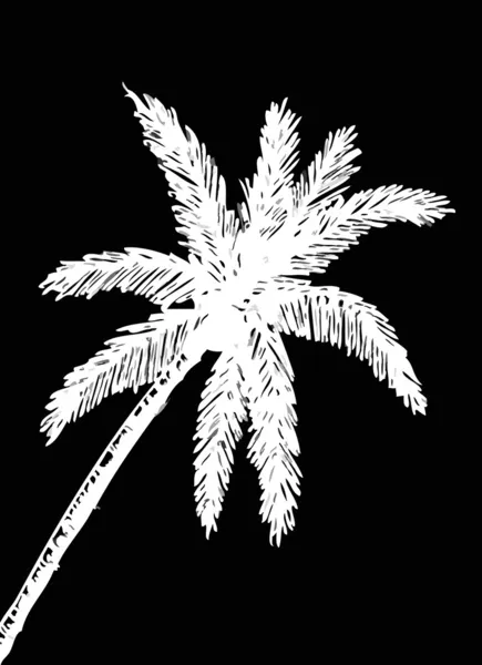 棕榈树热带棕榈树，黑色剪影背景 — 图库矢量图片