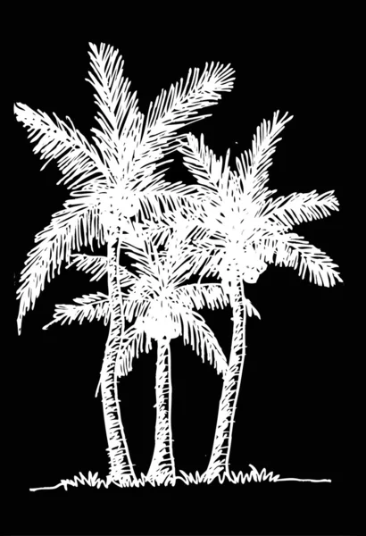 Palm tree trópusi pálma fák, fekete sziluettek háttér — Stock Vector