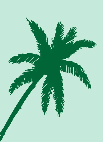 Palm tree tropische palm bomen, zwarte silhouetten achtergrond — Stockvector