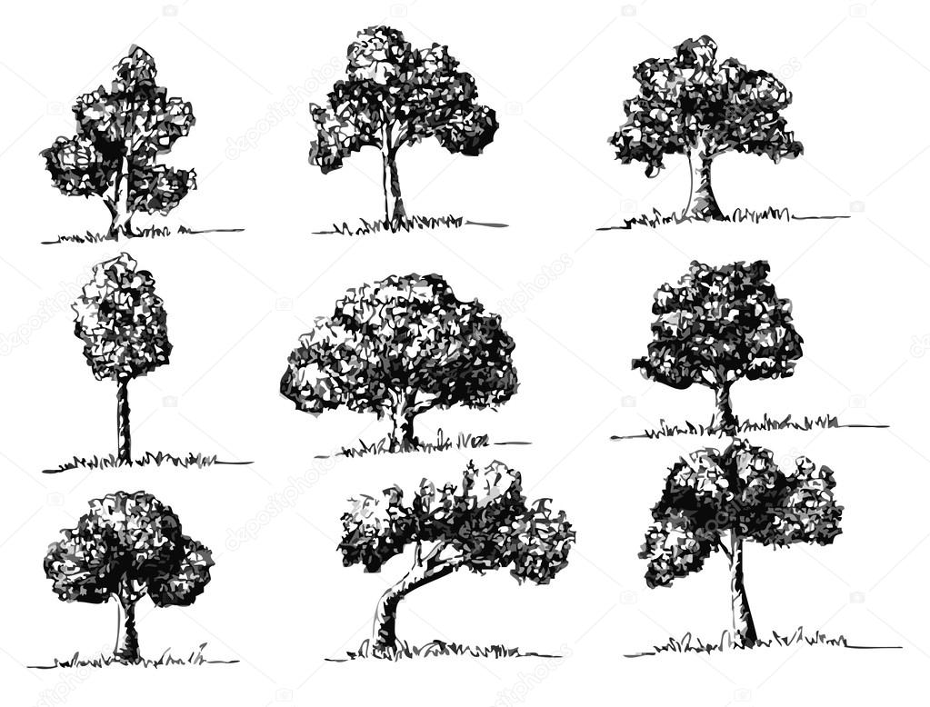 Vector trees with leaves