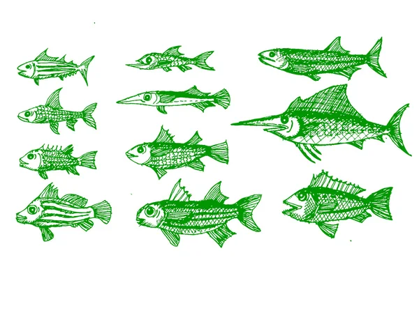 Poisson dessiné à la main Illustration vectorielle — Image vectorielle