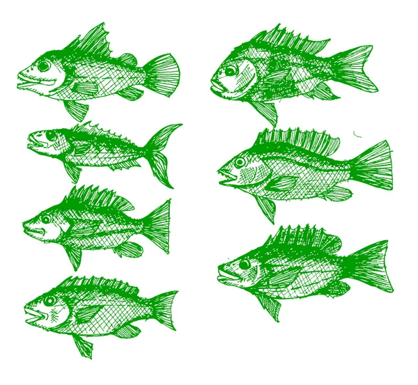 Handgezeichnete Fisch Vektor Illustration — Stockvektor