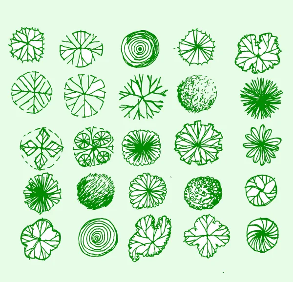 建築景観デザインプロジェクトのための木トップビュー — ストックベクタ