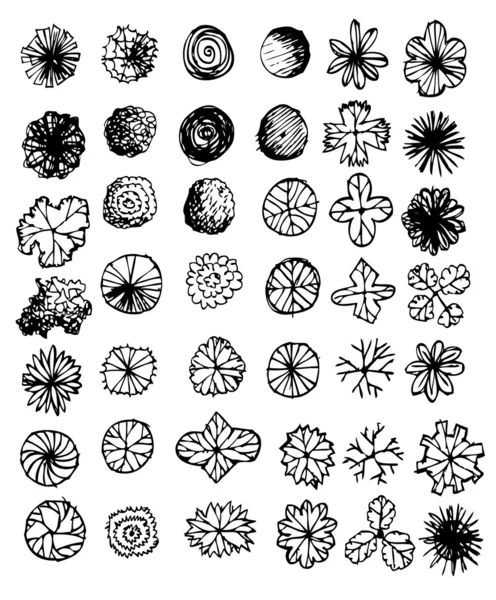 Bäume von oben für Architektur-Landschaftsplanungsprojekte — Stockvektor