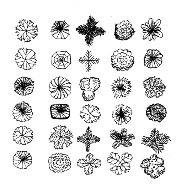 Mimari peyzaj tasarımı projeleri için ağaçların üst görünümü