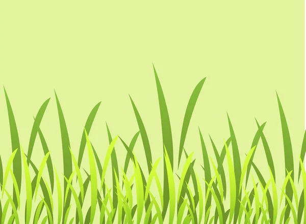 Green grass photo frame — Stock Vector